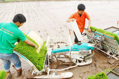 Quỹ Khuyến nông Hà Nội: Cùng nông dân vượt khó, làm giàu