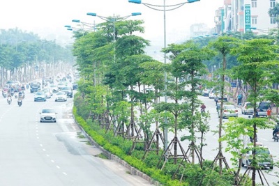 Lưu lượng giao thông tăng nhưng không ảnh hưởng đến chất lượng không khí Hà Nội