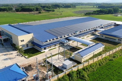 PC Quảng Ngãi: Công khai khả năng giải tỏa công suất điện mặt trời mái nhà