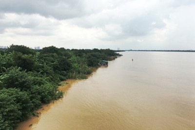 Mực nước sông Hồng tại Hà Nội đang xuống dần