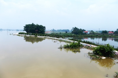 Mực nước các sông ở Hà Nội đang lên nhanh
