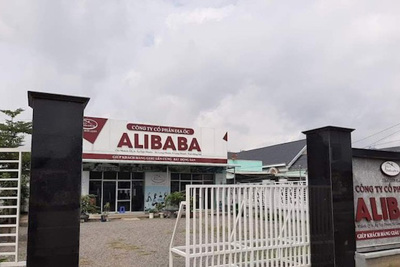 Khởi tố, bắt tạm giam nguyên Phó tổng giám đốc Địa ốc Alibaba