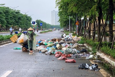 Đại lộ Chu Văn An nhếch nhác vì rác thải