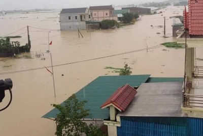 BHXH Việt Nam: Tặng 2500 thẻ BHYT cho đồng bào lũ lụt miền Trung