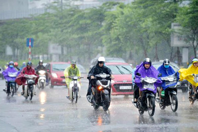 Thời tiết hôm nay 21/8: Hà Nội mưa rào và dông, cục bộ có mưa to
