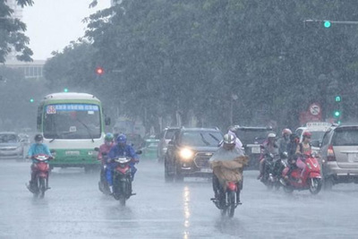 Thời tiết hôm nay 13/8: Bắc Bộ và Thanh Hóa mưa rào và dông diện rộng
