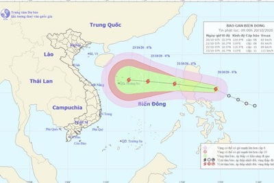 Biển Đông chuẩn bị đón bão số 8 và cảnh báo về thông tin dự báo giả mạo