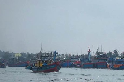 Bão số 5 gần kề, Quảng Ngãi còn 8.362 lao động đang trên biển