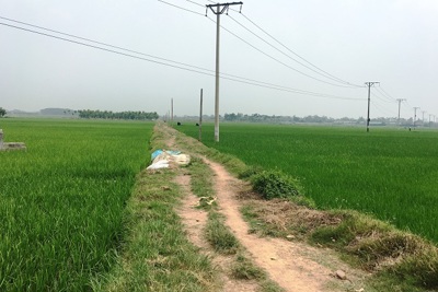 Xã Tam Đồng, huyện Mê Linh: Thiếu kinh phí nâng cấp giao thông nội đồng