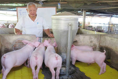 Giá lợn hơi hôm nay 27/7: Miền Bắc đi ngang, miền Trung tăng 1.000 đồng/kg