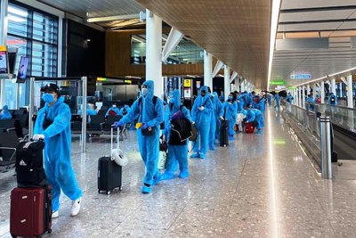 Vietnam Airlines cảnh báo thủ đoạn bán vé máy bay giả cho công dân hồi hương