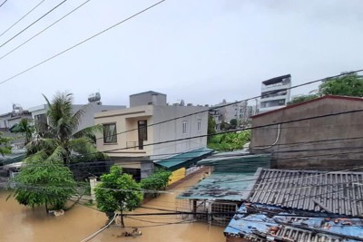 Ngành điện Quảng Ninh nỗ lực khắc phục, sớm cấp điện cho người dân sau mưa lớn
