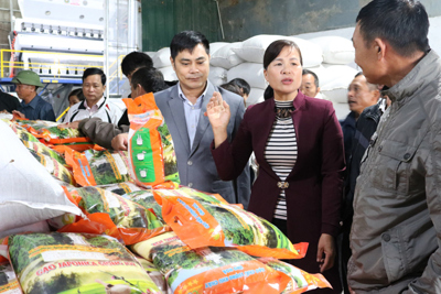 Mở đầu ra cho gạo Khu Cháy