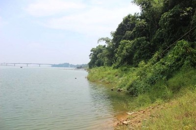 Hà Nội: Công bố tình trạng khẩn cấp sạt lở bờ hữu sông Đà