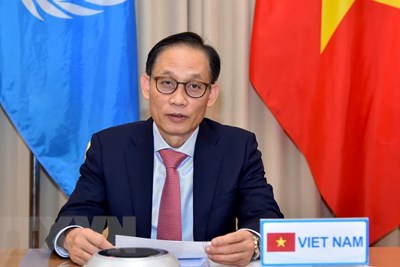 Việt Nam dự Phiên thảo luận trực tuyến Cấp cao Hội đồng Bảo an Liên Hợp quốc