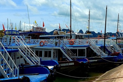 Quảng Ninh: Hơn 100 hộ kinh doanh tàu du lịch xin tạm dừng hoạt động