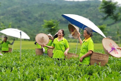 Trăn trở xây dựng thương hiệu sản phẩm làng nghề