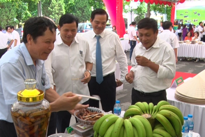 Tìm thị trường cho chuối sấy dẻo Thuần Mỹ