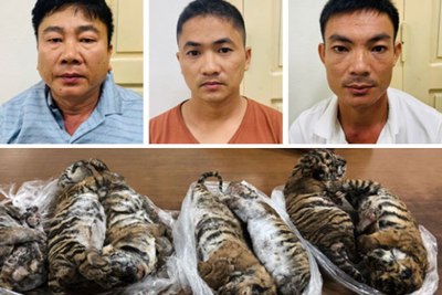 Việt Nam đạt được bước tiến lớn trong xử lý tội phạm về động vật hoang dã