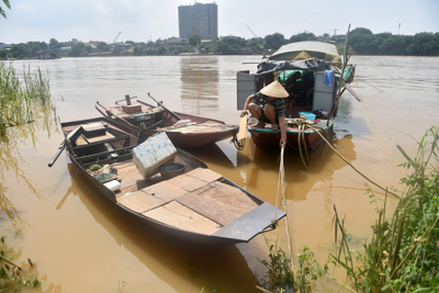 Hà Nội: Nước sông Hồng dâng cao, người dân gặp khó