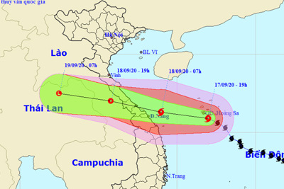 Bão số 5 cách Đà Nẵng 430km, gây mưa lớn tại các tỉnh miền Trung