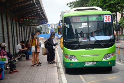 TP Hồ Chí Minh trợ giá thêm 161 tỷ đồng để duy trì hoạt động xe buýt