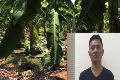 Hà Nội: Khởi tố, bắt giam gã đàn ông hiếp dâm bé gái 12 tuổi ở Gia Lâm
