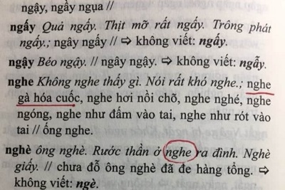 “Từ điển chính tả tiếng Việt” hướng dẫn thiếu chính xác cách viết thành ngữ, tục ngữ