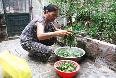 Hà Nội thành lập Trung tâm bảo vệ môi trường nông nghiệp