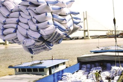 9 loại gạo được hưởng ưu đãi thuế khi xuất khẩu sang châu Âu