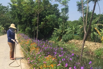 Những tuyến đường nở hoa ở Tuy Lai