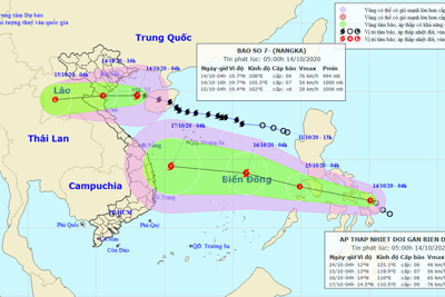 Bão số 7 đổ bộ vào các tỉnh Thái Bình - Nghệ An, áp thấp nhiệt đới mới áp sát Biển Đông