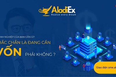 Những điều các nhà đầu tư cần biết trước khi tham gia vào nền tảng AladiEx