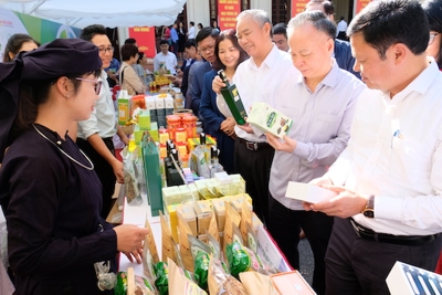 21 tỉnh thành cung cấp hàng triệu tấn thực phẩm an toàn cho Hà Nội