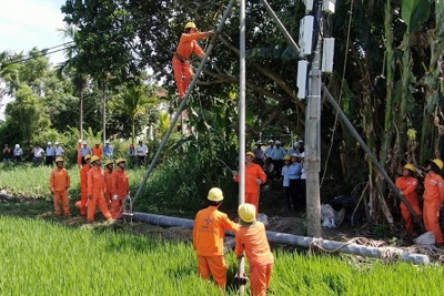 Điện lực Quảng Ngãi diễn tập phòng chống thiên tai và tìm kiếm cứu nạn