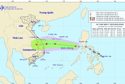 Áp thấp nhiệt đới dự kiến mạnh thành bão số 8 đổ bộ miền Trung vào cuối tuần này