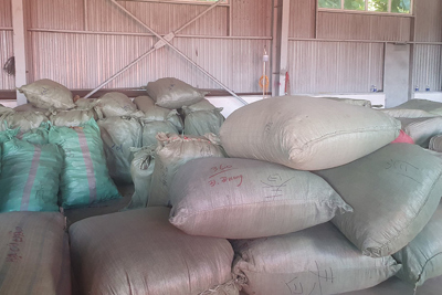Hơn 100 tấn dược liệu đội lốt củ quả nhập khẩu vào Đà Nẵng