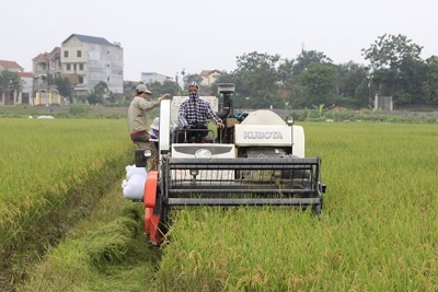 Phát triển kinh tế xanh trong nông nghiệp: Hướng đi đúng và trúng