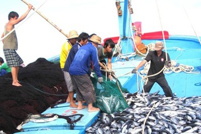 Chấm dứt tình trạng khai thác hải sản bất hợp pháp