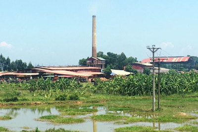 Huyện Sóc Sơn: Rốt ráo xử lý lò gạch trái phép