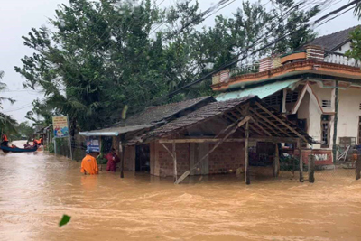 GS.TSKH Đặng Huy Huỳnh: Người ta chỉ nhớ đến rừng khi xảy ra lũ lụt