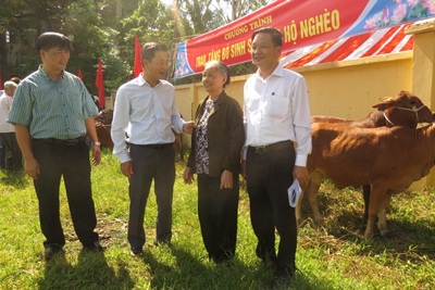 Huyện Ứng Hòa trao tặng 36 con bò cho hộ nghèo