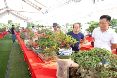 Hội chợ Du lịch sinh vật cảnh Thanh Oai chính thức mở cửa đón khách