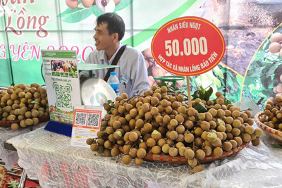 Đẩy mạnh xuất khẩu quả nhãn Việt Nam