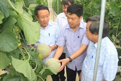 Đề xuất phát triển dự án nông nghiệp công nghệ cao quy mô 5.000ha tại Quảng Trị