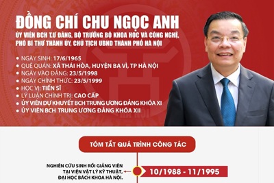 [Infographic] Tóm tắt quá trình công tác của Phó Bí thư Thành ủy Hà Nội Chu Ngọc Anh
