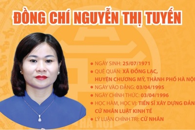 [Infographic] Tóm tắt quá trình công tác của Phó Bí thư Thành ủy Hà Nội Nguyễn Thị Tuyến