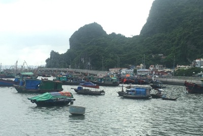 Tạm dừng cấp phép tàu thuyền trên địa bàn tỉnh Quảng Ninh