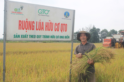 Phát triển nông nghiệp hữu cơ tại Quảng Trị là hướng đi đúng