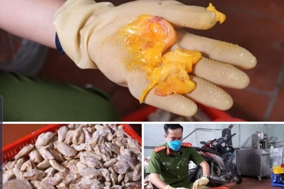 Hà Nội: Phát hiện hơn 2 tấn nầm lợn, trứng non... không rõ nguồn gốc tại cơ sở ở Tứ Liên